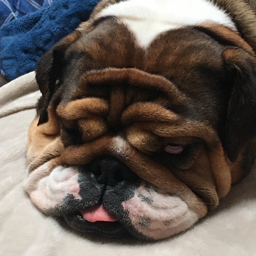 Meet your Posher, Bob